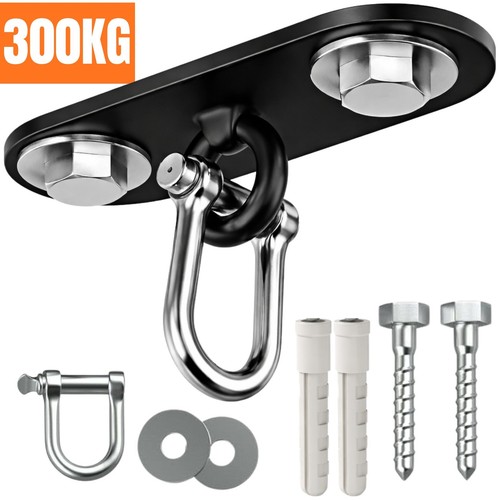 Punch bag ceiling - punch,